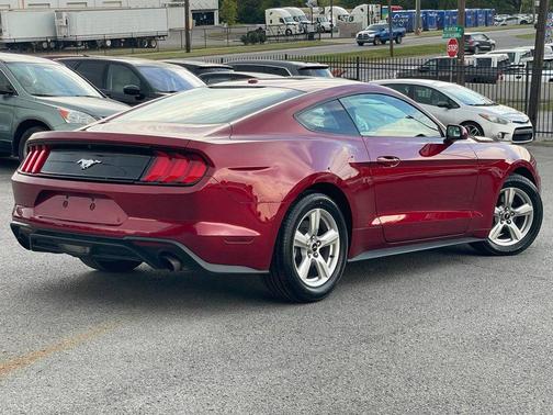 2019 Ford Mustang EcoBoost