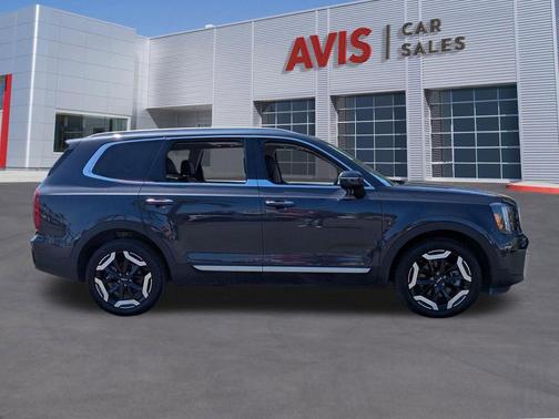 Panthera Metal 2025 Kia Telluride S