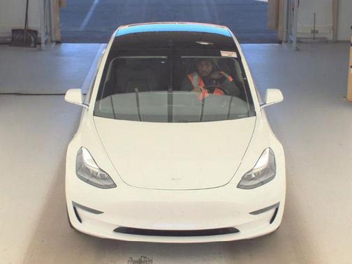 Pearl White Multi-Coat 2019 Tesla Model 3 Mid Range