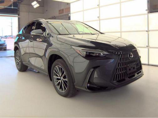 Cloudburst Gray 2024 Lexus NX 350 Premium