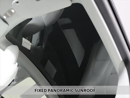 2020 Tesla Model Y Performance Dual Motor All-Wheel Drive