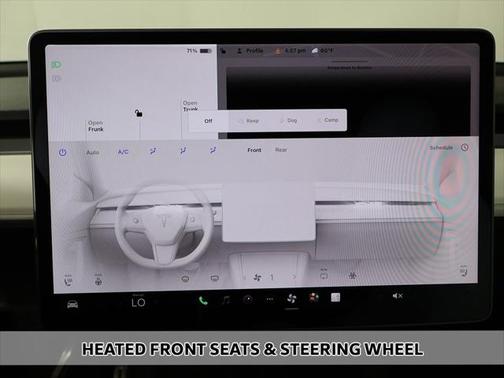 2021 Tesla Model Y Performance Dual Motor All-Wheel Drive