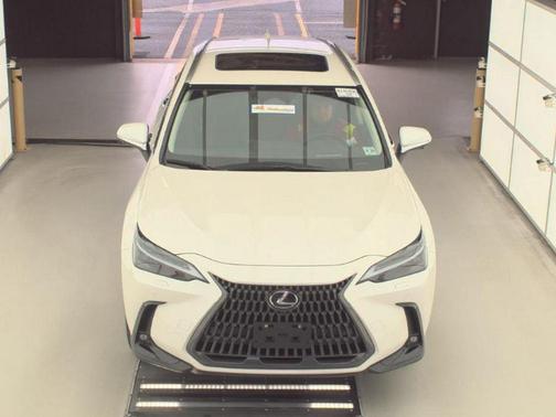 2024 Lexus NX 450h+ Luxury