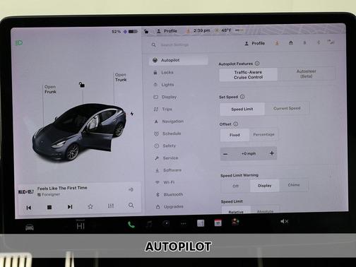 Gray 2019 Tesla Model 3 Performance