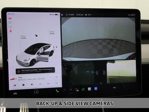 Pearl White Multi-Coat 2018 Tesla Model 3 Performance