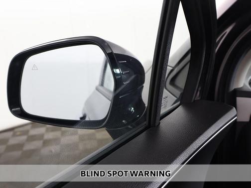 Panthera Metal 2024 Kia Carnival LX