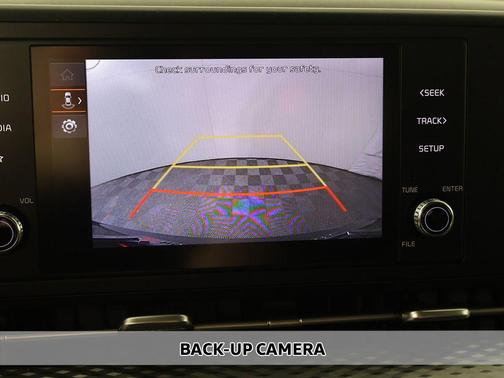 Panthera Metal 2024 Kia Carnival LX