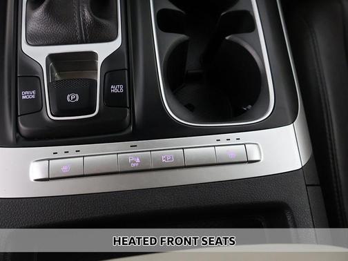 Panthera Metal 2024 Kia Carnival LX