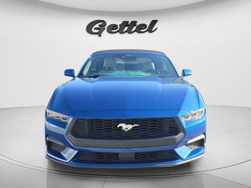 ATLAS BLUE METALLIC 2024 Ford Mustang EcoBoost Premium