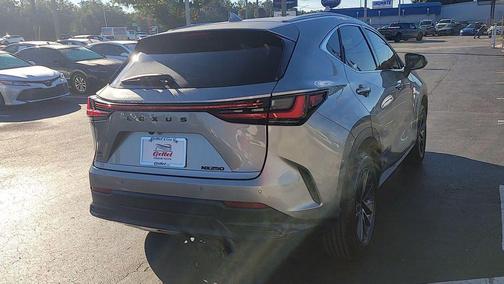 2025 Lexus NX 250 Premium