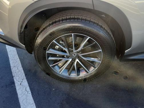 2025 Lexus NX 250 Premium