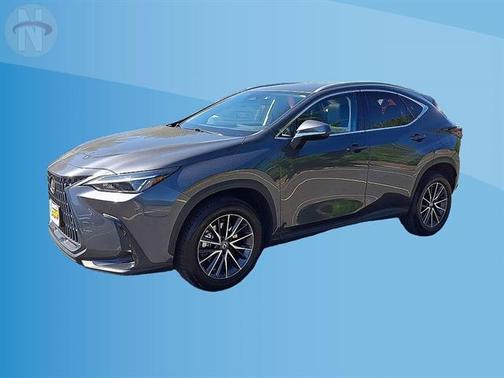 Cloudburst Gray 2024 Lexus NX 350 Premium