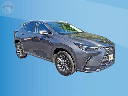 Cloudburst Gray 2024 Lexus NX 350 Premium
