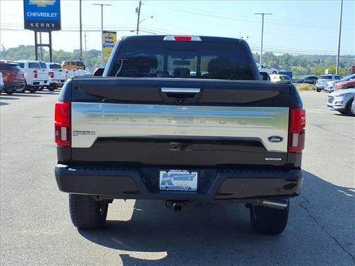 2019 Ford F-150 Platinum