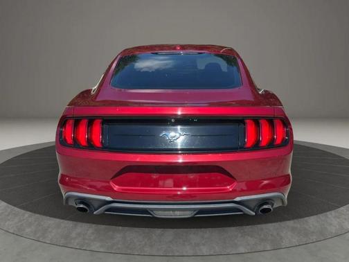Ruby Red Metallic Tinted Clearcoat 2019 Ford Mustang EcoBoost