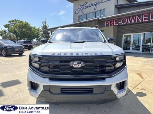 SPACE SILVER METALLIC 2025 Ford Expedition ACTIVE
