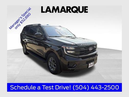 AGATE BLACK METALLIC 2025 Ford Expedition ACTIVE