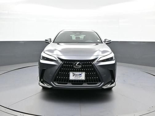 2023 Lexus NX 250 Premium