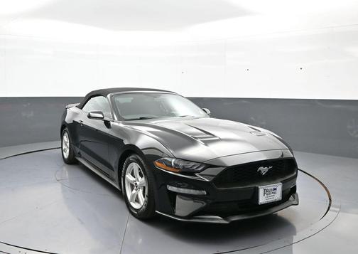 Shadow Black 2019 Ford Mustang EcoBoost