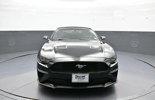 Shadow Black 2019 Ford Mustang EcoBoost