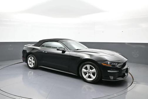 Shadow Black 2019 Ford Mustang EcoBoost