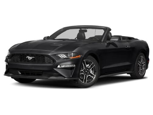 Shadow Black 2019 Ford Mustang EcoBoost