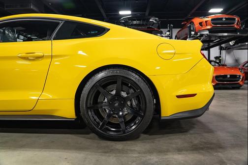 2016 Ford Shelby GT350 Base