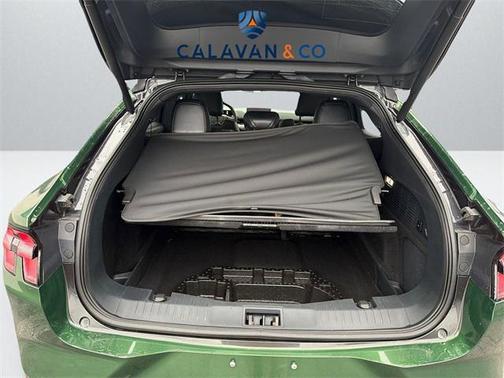 2021 Ford Mustang Mach-E GT