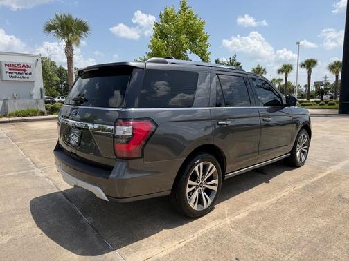Magnetic 2020 Ford Expedition Limited