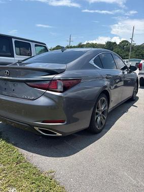 Gray Pearl 2019 Lexus ES 350 F Sport
