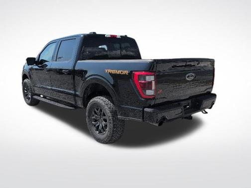 Agate Black Metallic 2022 Ford F-150 Tremor