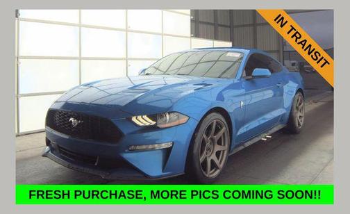 Blue Metallic 2020 Ford Mustang EcoBoost