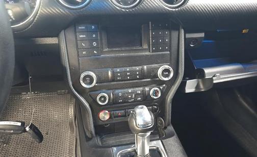 Blue Metallic 2020 Ford Mustang EcoBoost
