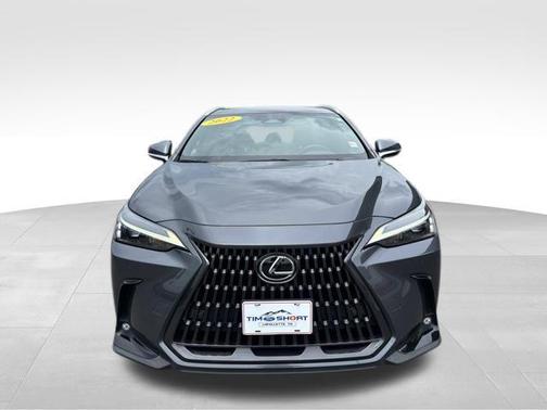 2022 Lexus NX 250 Premium