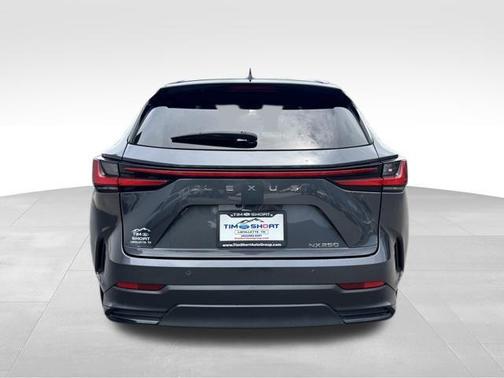 2022 Lexus NX 250 Premium