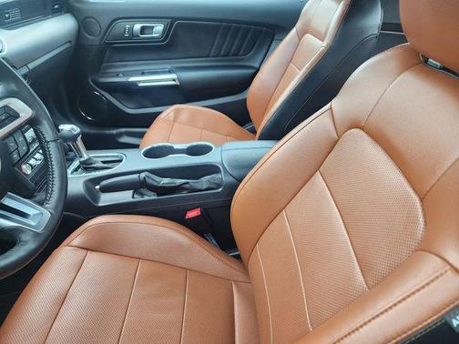 Rapid Red Metallic Tinted Clearcoat 2020 Ford Mustang GT Premium