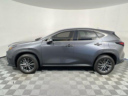 Cloudburst Gray 2024 Lexus NX 250 Premium