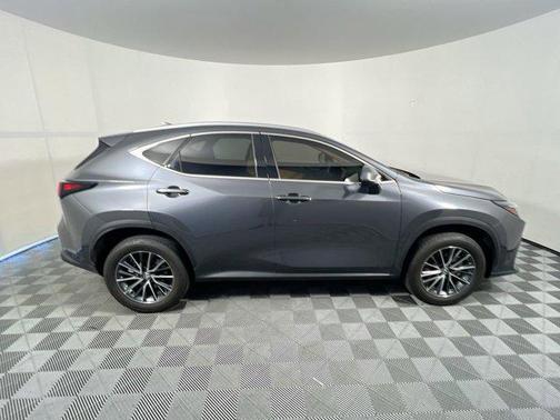 Cloudburst Gray 2024 Lexus NX 250 Premium