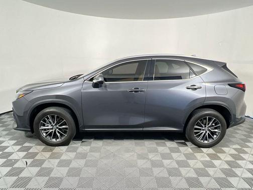Cloudburst Gray 2024 Lexus NX 250 Premium