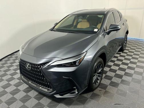 Cloudburst Gray 2024 Lexus NX 250 Premium