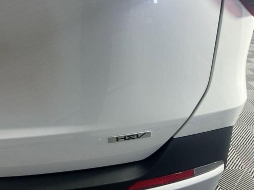Snow White Pearl 2026 Kia Carnival Hybrid EX