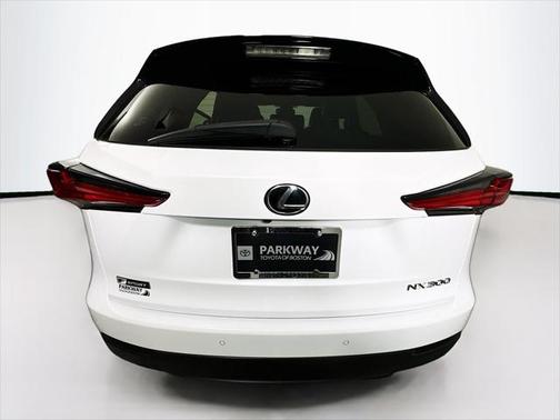 2021 Lexus NX 300 F Sport