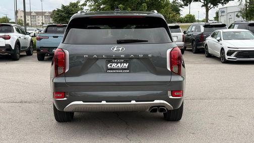 Rainforest 2022 Hyundai PALISADE Calligraphy