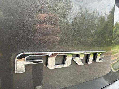 Gunmetal Gray Pearl Metallic 2013 Kia Forte EX