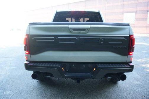 Avalanche 2017 Ford F-150 Raptor