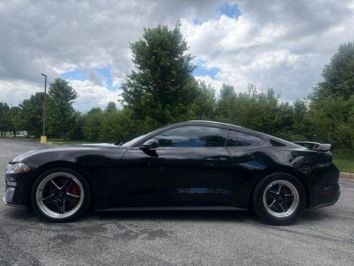 Shadow Black 2019 Ford Mustang GT Premium