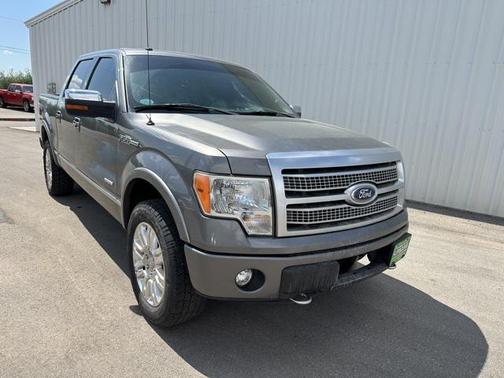 2011 Ford F-150 Platinum