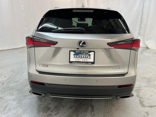 2019 Lexus NX 300 F Sport