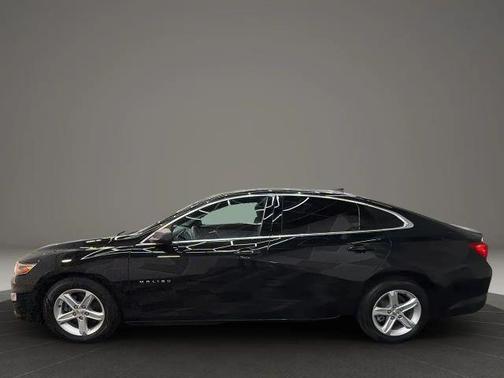 2020 Chevrolet Malibu 1FL