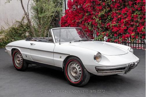 1967 Alfa Romeo Giulia Spider